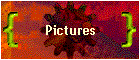 Pictures